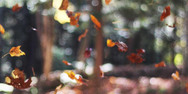 OA系统与RPA深度融合：解锁企业后台流程智能化的新纪元