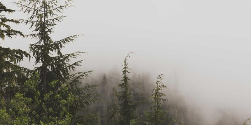 企业软件24：OA系统如何重塑现代办公自动化与企业解决方案