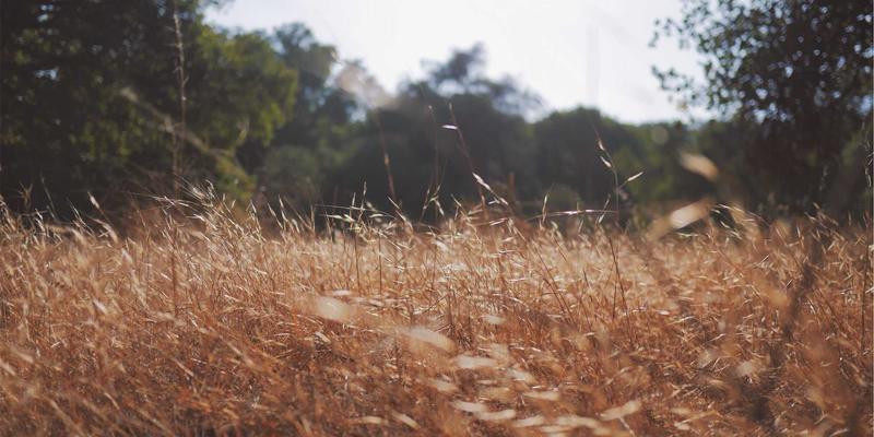 企业软件3.0时代：OA系统如何从办公自动化迈向智能协同新生态