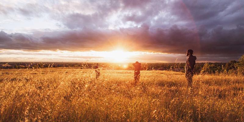 企业软件52：驱动数字化转型的核心引擎与未来办公自动化新范式
