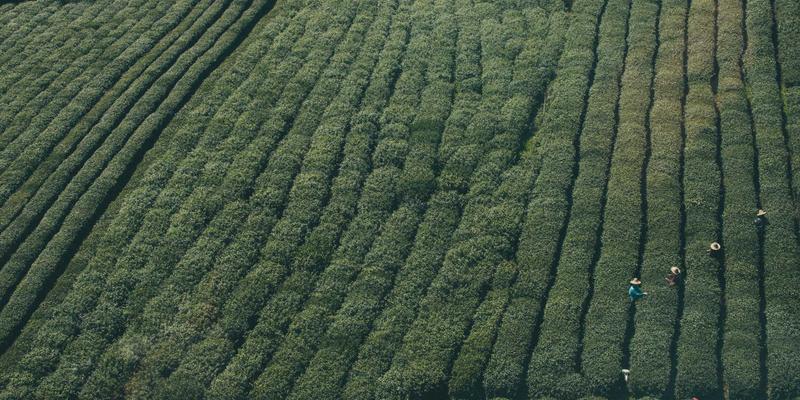 企业软件7：驱动数字化转型的核心引擎与办公自动化新范式