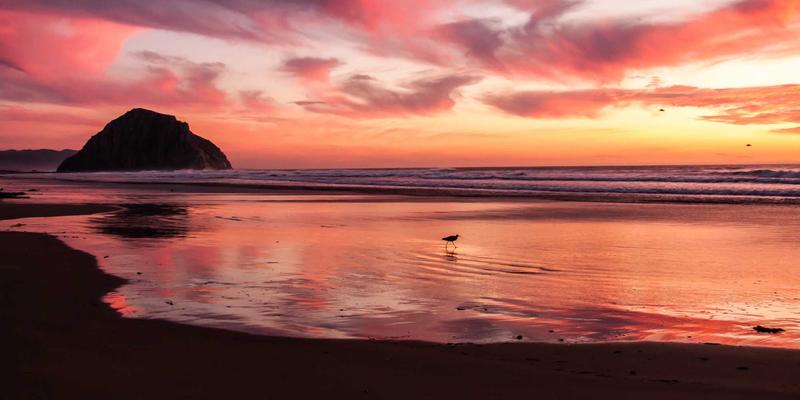 企业软件87：数字化转型时代的企业解决方案核心引擎