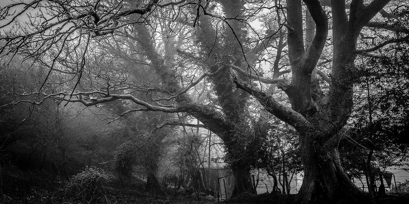 企业软件进化论：从OA系统到一体化解决方案的数字化转型