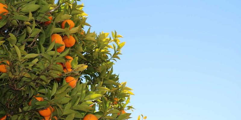 企业软件选型方法论：构建科学的评估矩阵与POC流程，驱动数字化转型