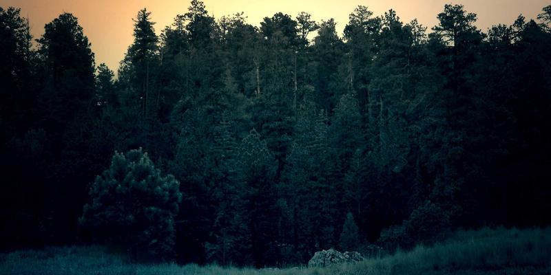 数字化转型中的关键一步：企业软件采购TCO分析，如何精准计算隐藏成本与长期价值