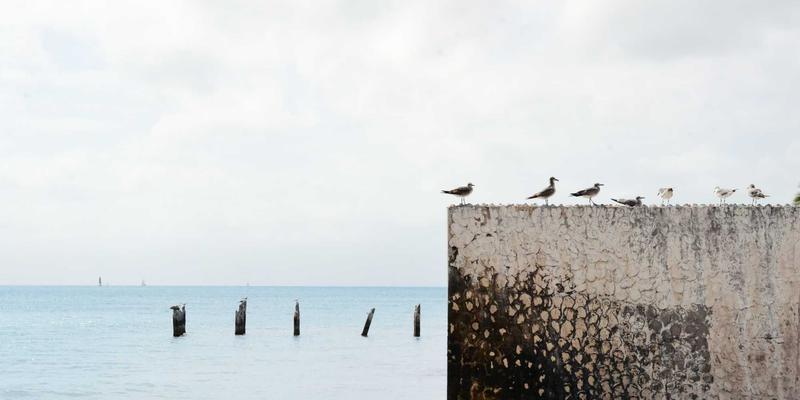 易百OA系统：赋能企业数字化转型的协同办公新引擎