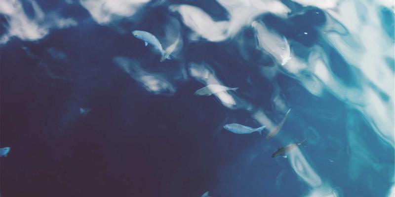 易百企业软件57：驱动数字化转型，重塑协同办公新生态