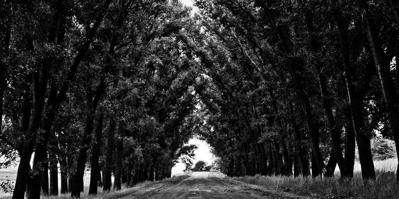 构建安全基石：OA系统与企业解决方案的SDLC实践指南