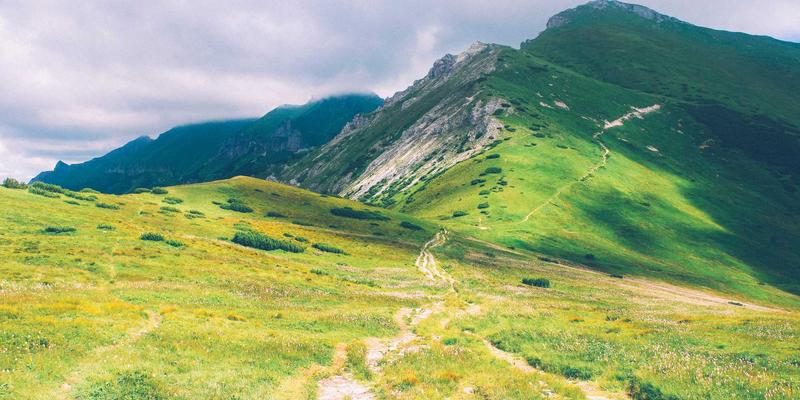 远程办公时代的企业协作软件深度评测：如何选择最佳OA系统与办公自动化解决方案